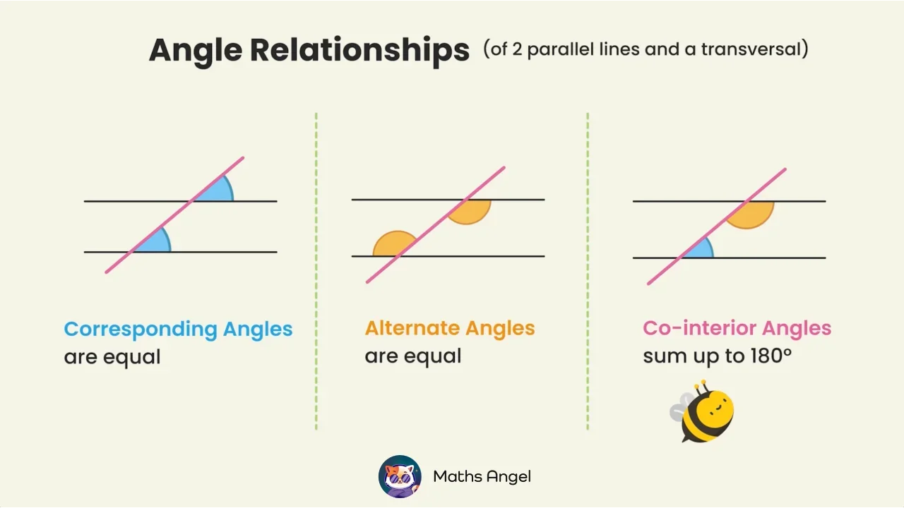 Angle Relationships in Intersecting and Parallel Lines - Maths Angel