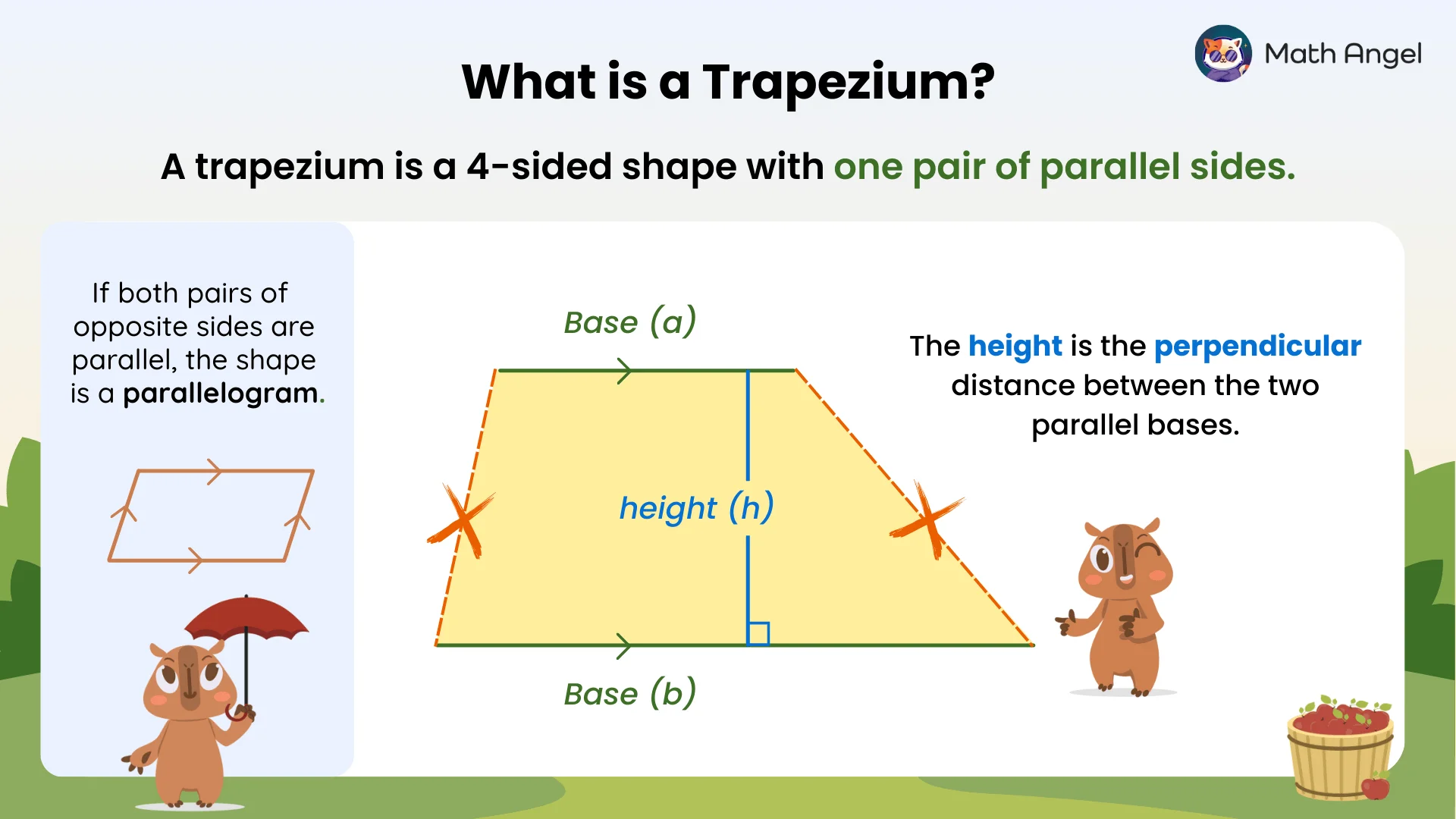 Trapezium definition diagram showing bases, height, and difference from a parallelogram.