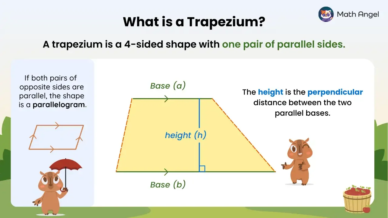 Area of a Trapezium - Formula, Examples, and Special Types