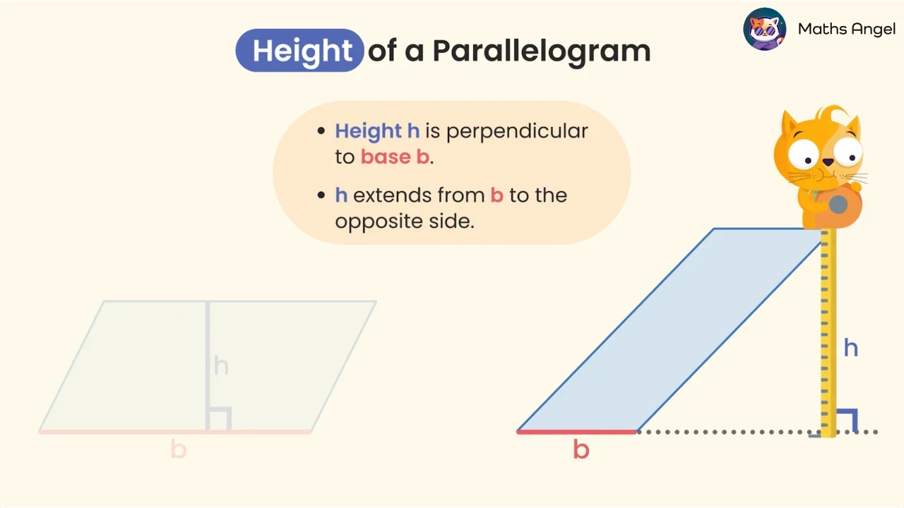Area of Parallelograms and Triangles - Formulas & Examples