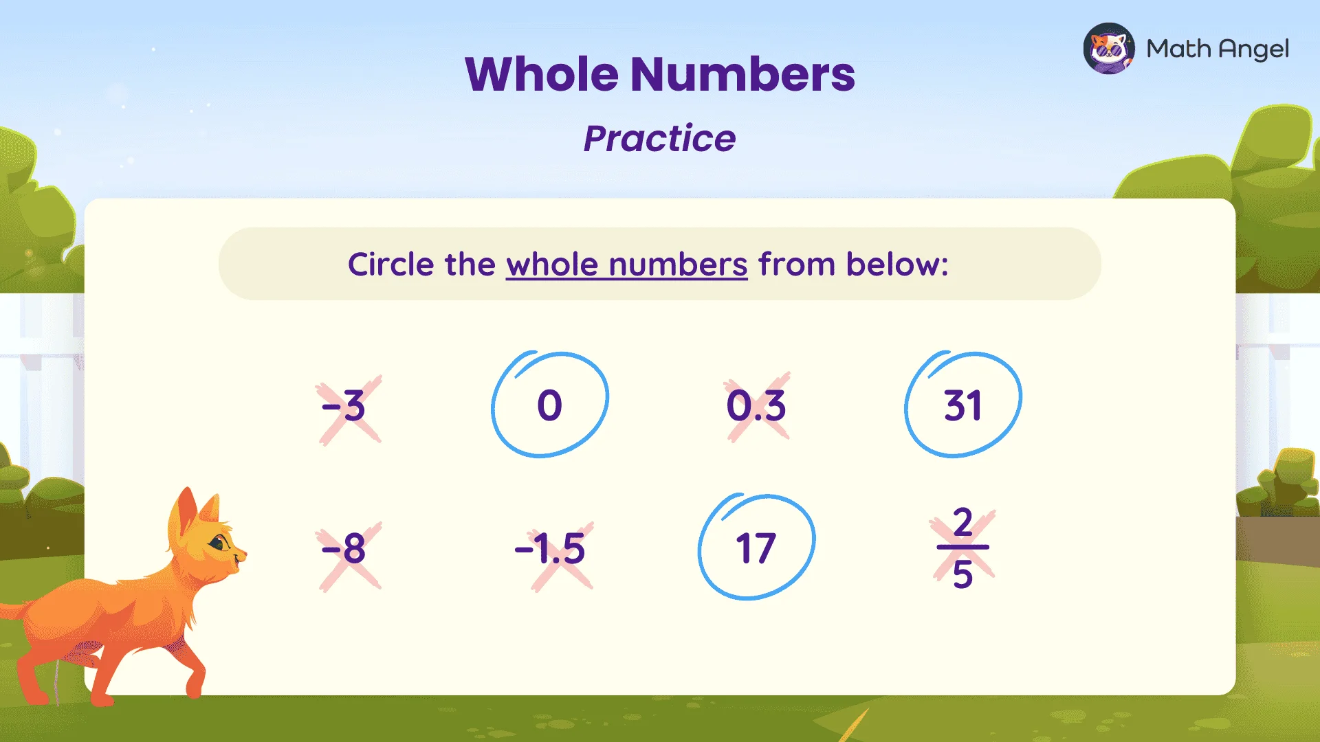 Whole numbers practice: circle 0, 17, and 31; cross out −3, −8, −1.5, 0.3, and 2/5